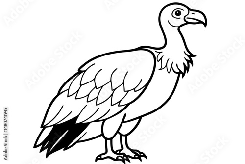vulture silhouette line art vector illustration with a white background