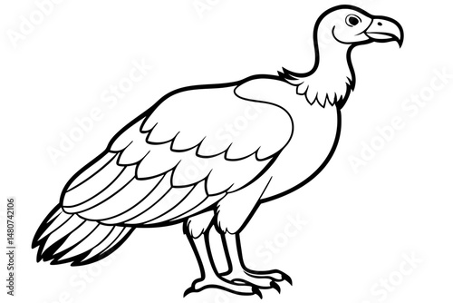 vulture silhouette line art vector illustration with a white background