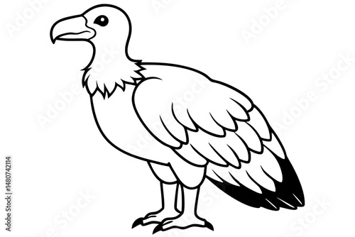 vulture silhouette line art vector illustration with a white background