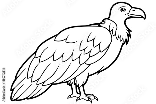 vulture silhouette line art vector illustration with a white background