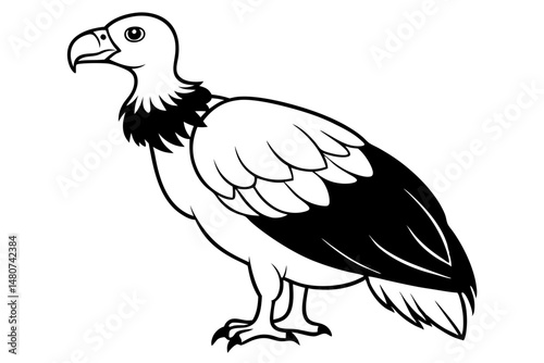 vulture silhouette line art vector illustration with a white background
