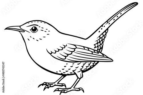 wren silhouette line art vector illustration with a white background