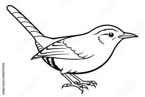 wren silhouette line art vector illustration with a white background