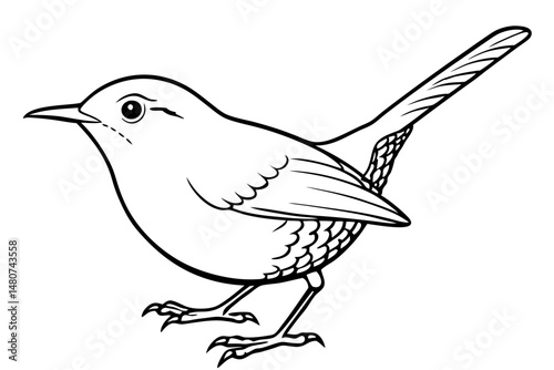 wren silhouette line art vector illustration with a white background