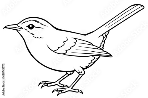 wren silhouette line art vector illustration with a white background