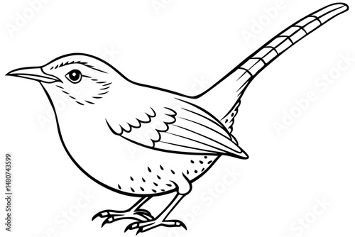 wren silhouette line art vector illustration with a white background