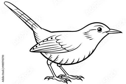 wren silhouette line art vector illustration with a white background