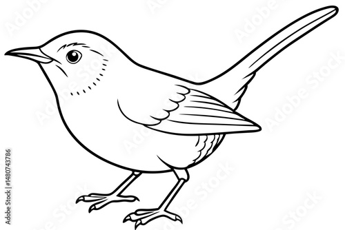 wren silhouette line art vector illustration with a white background