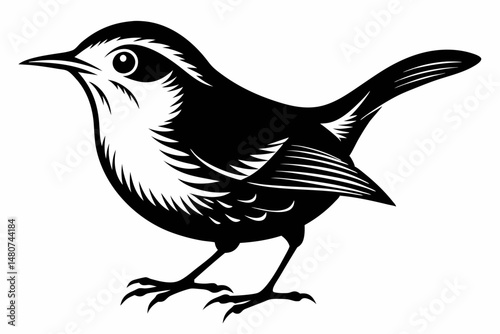 wren silhouette line art vector illustration with a white background