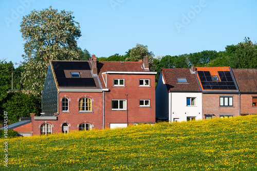 Houses in a row and buttercup flowers blooming in green meadow in Lot, Flemish Brabant Region, Belgium