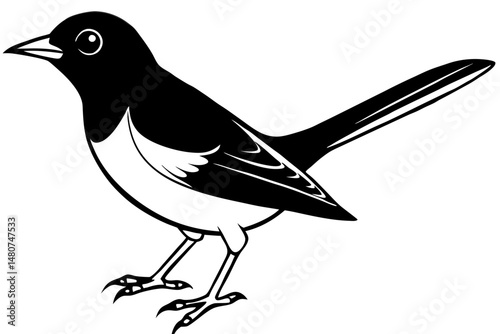nightingale silhouette line art vector illustration with a white background