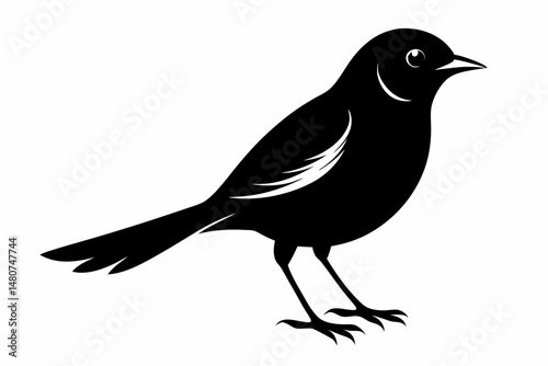 nightingale silhouette line art vector illustration with a white background