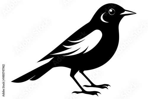nightingale silhouette line art vector illustration with a white background