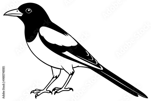 oriole silhouette line art vector illustration with a white background
