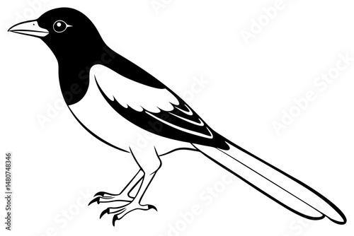 oriole silhouette line art vector illustration with a white background