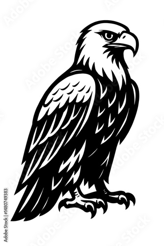 Black and White Illustration of a Bald Eagle - Graphic Element for Animals, Symbols, or Design Themes