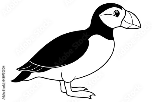 puffin silhouette line art vector illustration with a white background