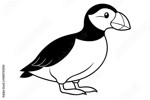 puffin silhouette line art vector illustration with a white background