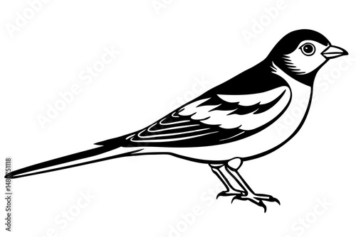 skylark silhouette line art vector illustration with a white background
