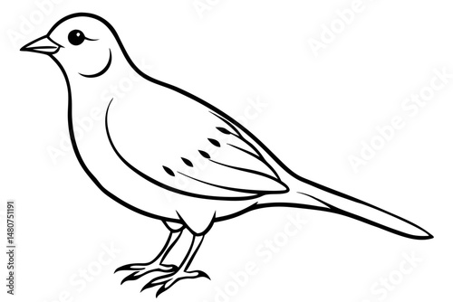 skylark silhouette line art vector illustration with a white background