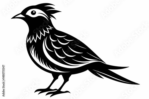 skylark silhouette line art vector illustration with a white background