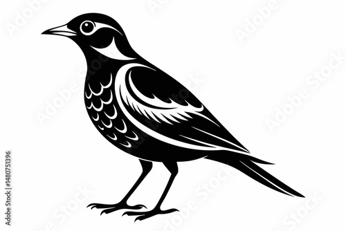 skylark silhouette line art vector illustration with a white background