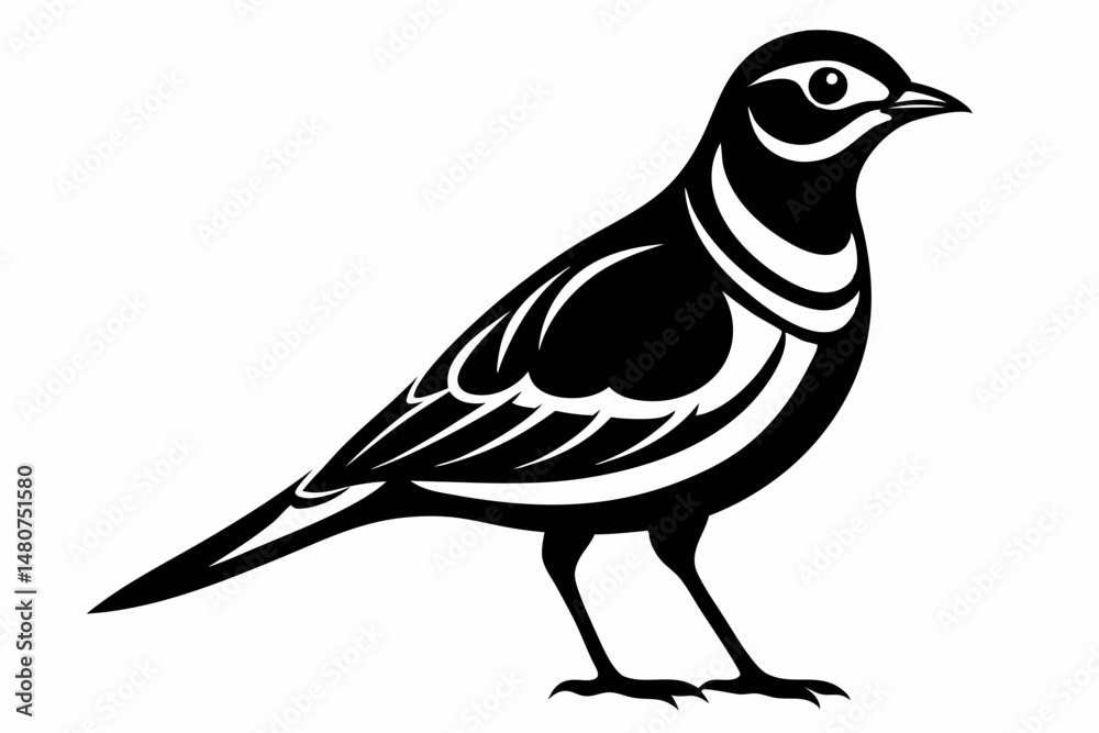 Fototapeta premium skylark silhouette line art vector illustration with a white background