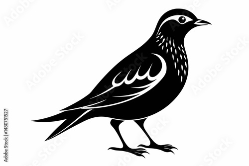 skylark silhouette line art vector illustration with a white background