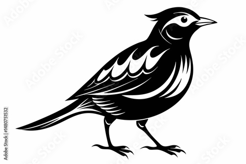 skylark silhouette line art vector illustration with a white background