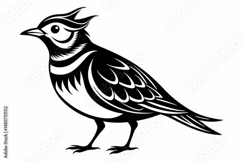 skylark silhouette line art vector illustration with a white background