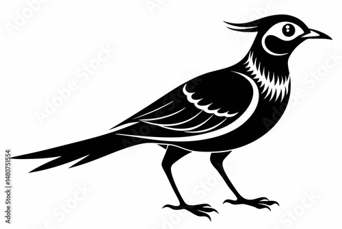 skylark silhouette line art vector illustration with a white background