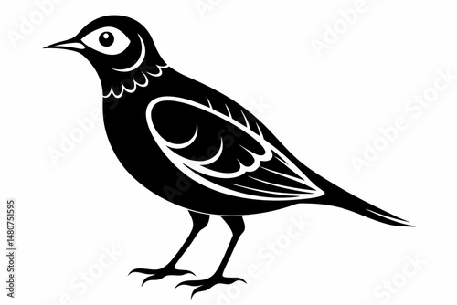 skylark silhouette line art vector illustration with a white background