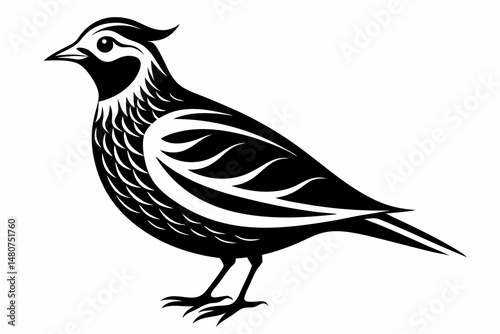 skylark silhouette line art vector illustration with a white background