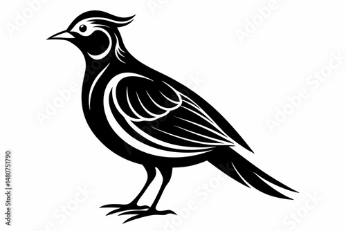 skylark silhouette line art vector illustration with a white background