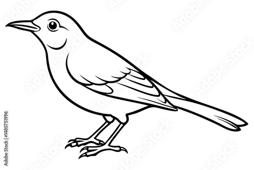 thrush silhouette line art vector illustration with a white background