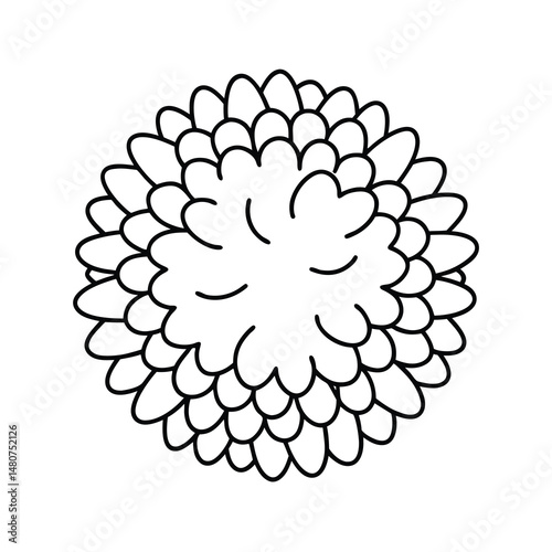 pom decoration outline line