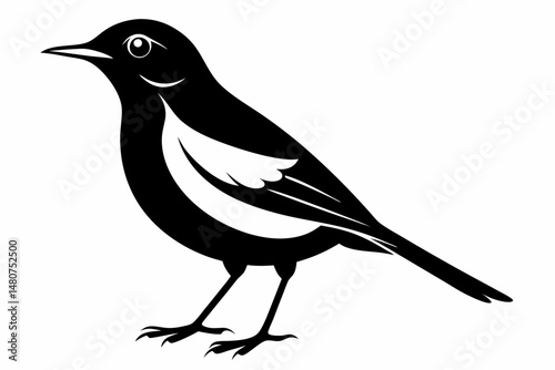 thrush silhouette line art vector illustration with a white background
