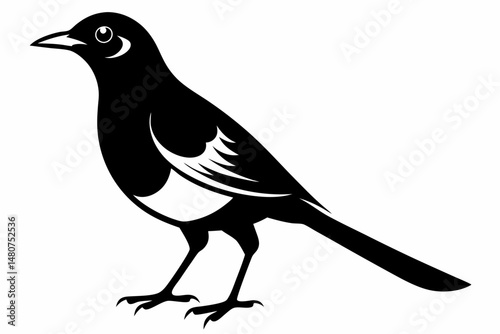 thrush silhouette line art vector illustration with a white background
