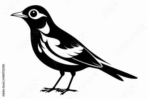 thrush silhouette line art vector illustration with a white background