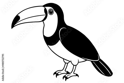 toucan silhouette line art vector illustration with a white background