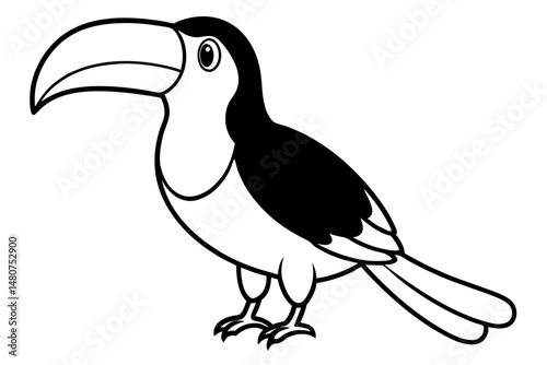 toucan silhouette line art vector illustration with a white background