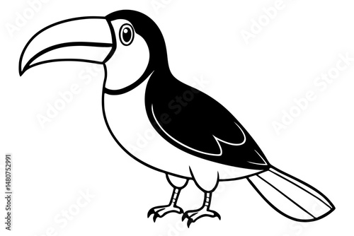 toucan silhouette line art vector illustration with a white background