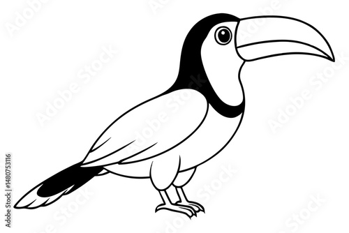 toucan silhouette line art vector illustration with a white background