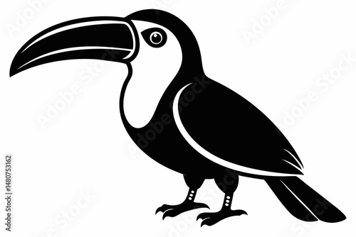 toucan silhouette line art vector illustration with a white background