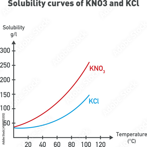 Solubility curves graph of KNO3 and KCl diagram. Scientific vector illustration isolated on white background.