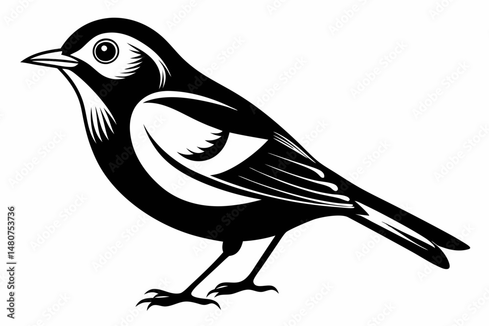 Obraz premium warbler silhouette line art vector illustration with a white background