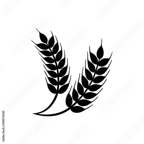 creative details Outline silhouette Wheat icon vector illustration 