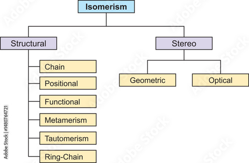 The different types of isomers. There are two primary types of isomerism, which can be further categorized into different subtypes. These primary types are Structural Isomerism and Stereoisomerism