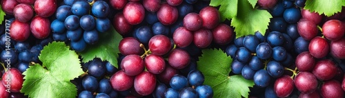 Wallpaper Mural Fresh Red and Blue Grapes with Green Leaves, healthy eating ,fruits Torontodigital.ca