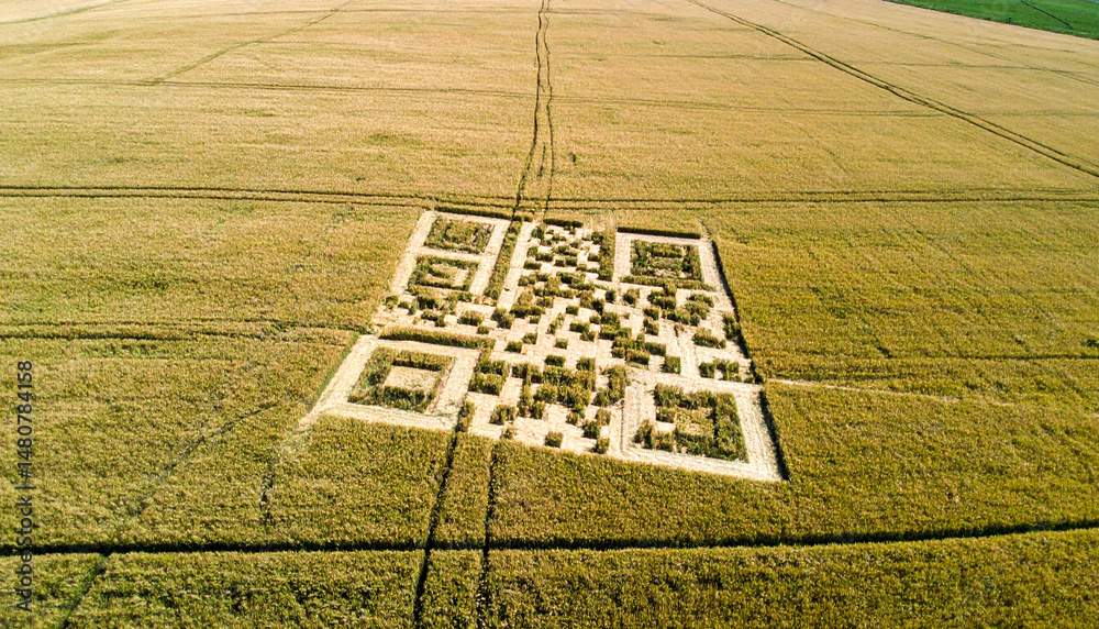 Obraz premium Crop circle forming a QR code .World UFO Day concept. Generated Image